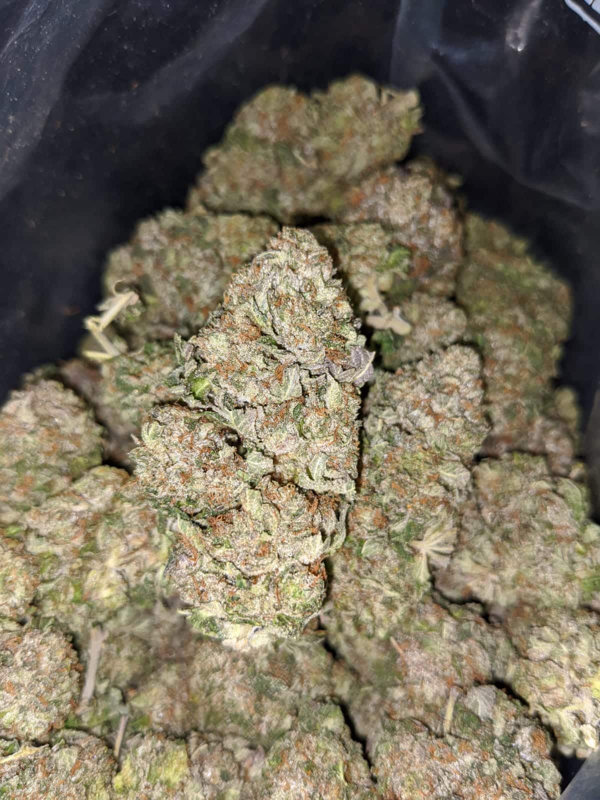 Godfather OG - *Deal Of The Day* - Image 4