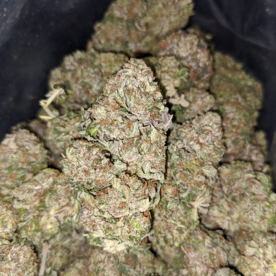 godfather og dod 2 I Godfather OG - *Deal Of The Day*