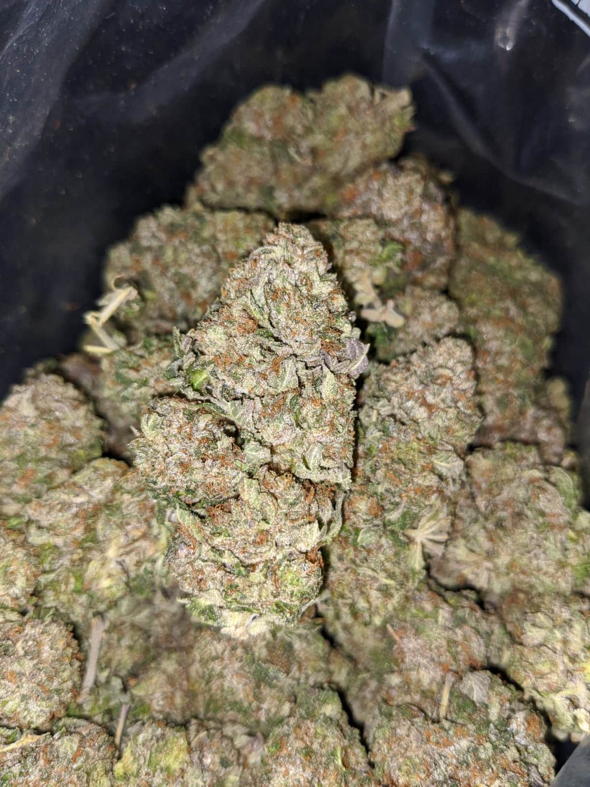 Godfather OG - *Deal Of The Day* - Image 3