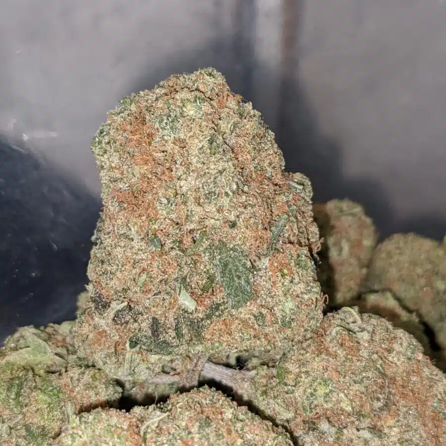 hawaiian cookies 1 I Hawaiian Cookies