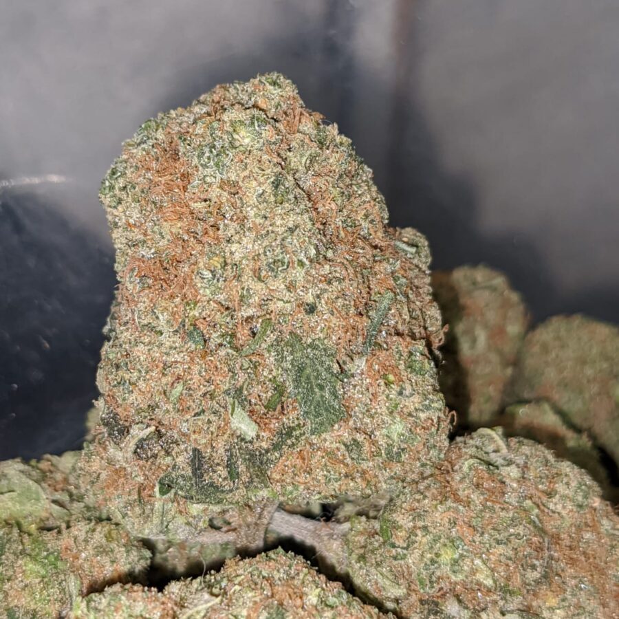 hawaiian cookies 2 I Hawaiian Cookies