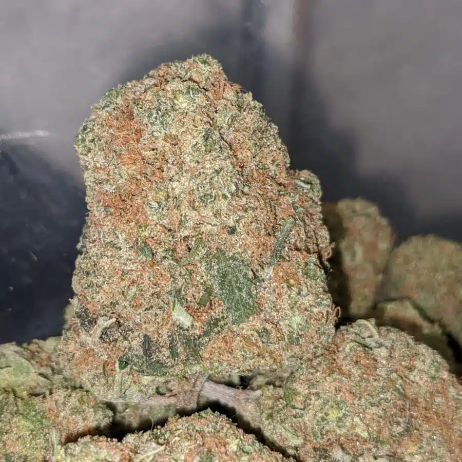 hawaiian cookies 2 I Hawaiian Cookies