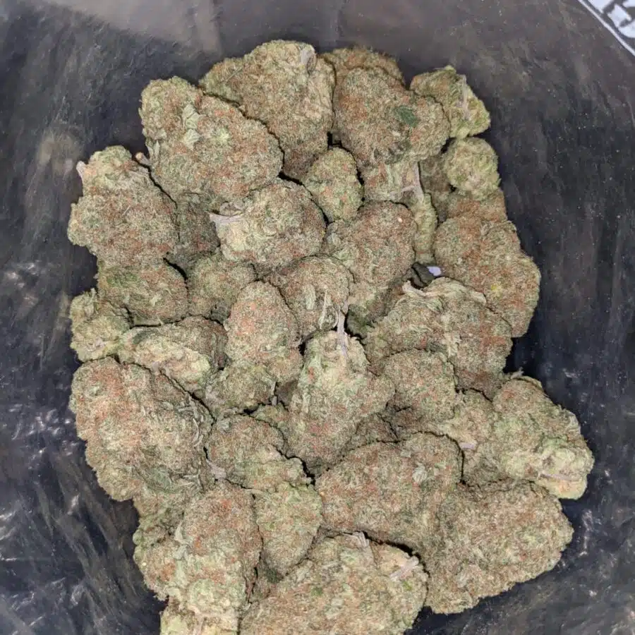 hawaiian cookies 3 I Hawaiian Cookies