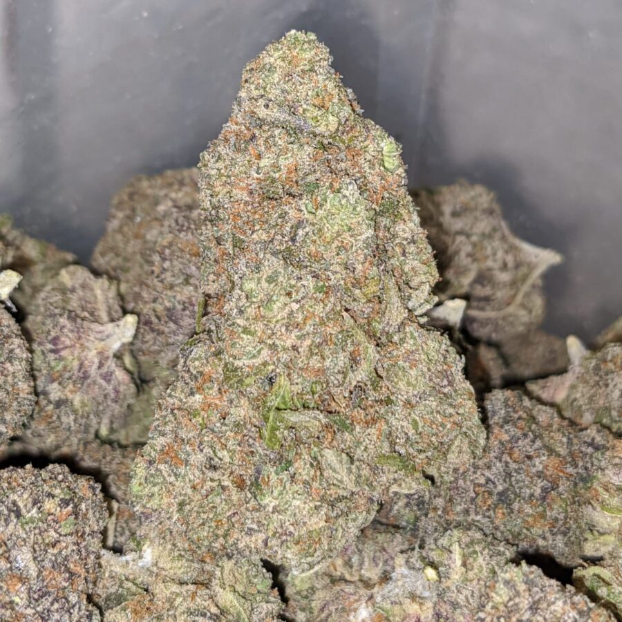 purple lollipop 1 I Purple Lollipop
