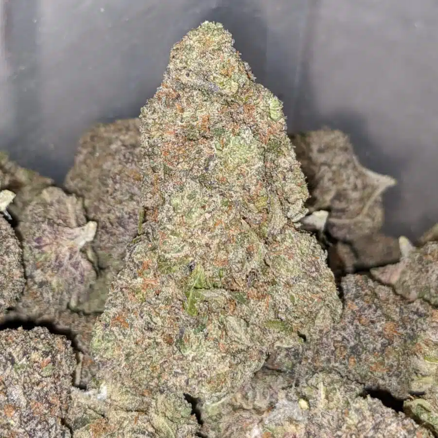 purple lollipop 1 I Purple Lollipop