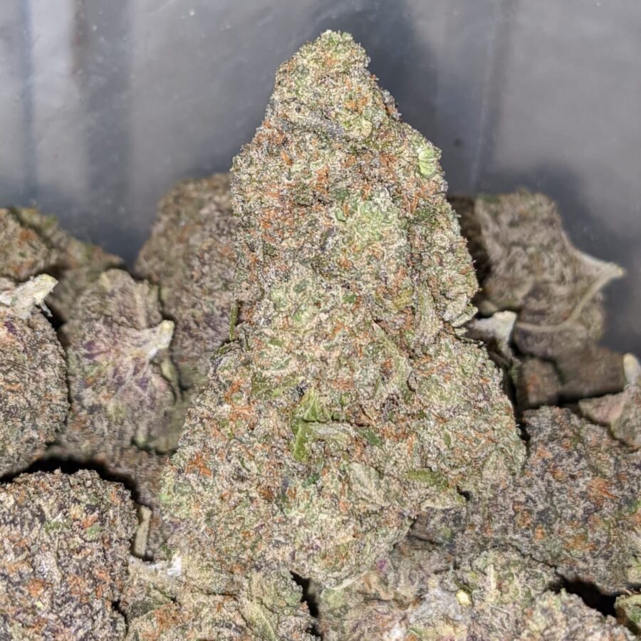 purple lollipop 2 I Purple Lollipop