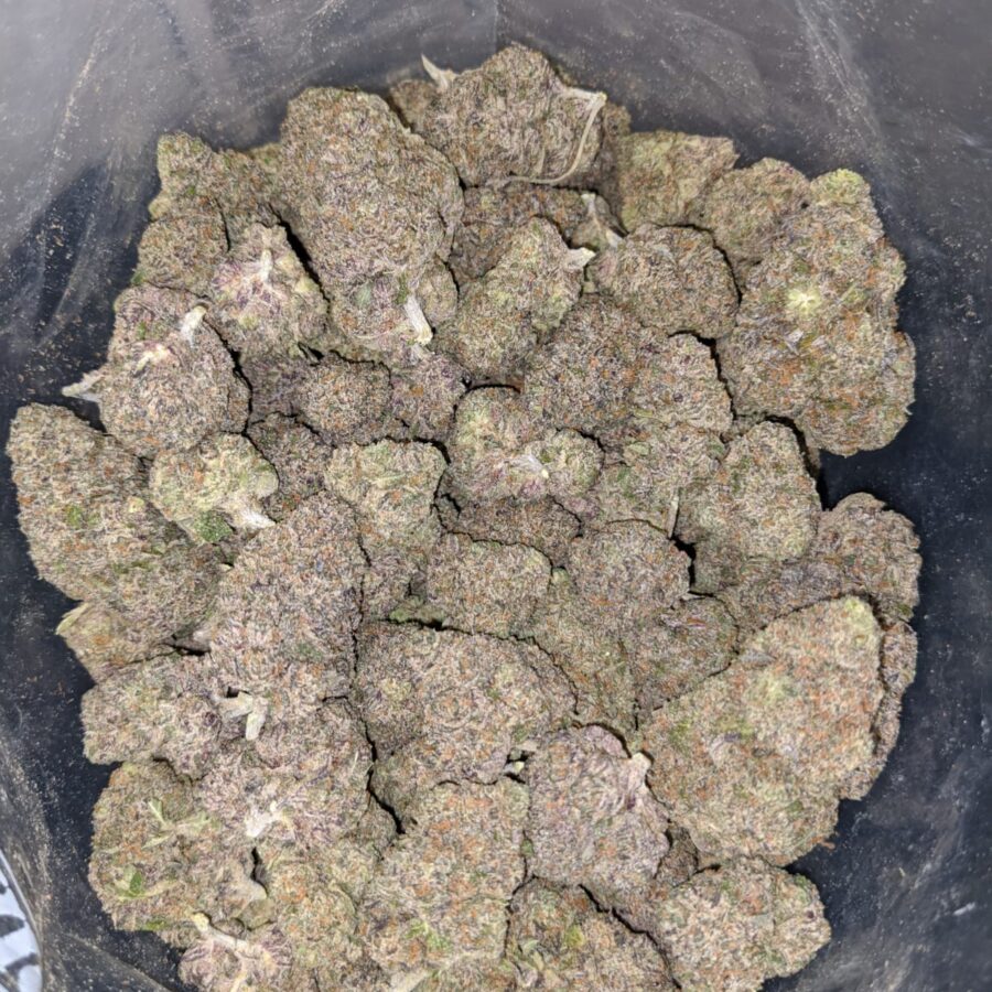 purple lollipop 3 I Purple Lollipop