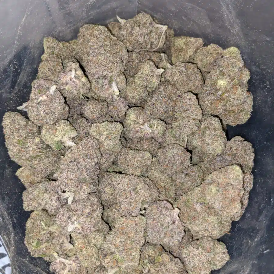 purple lollipop 3 I Purple Lollipop
