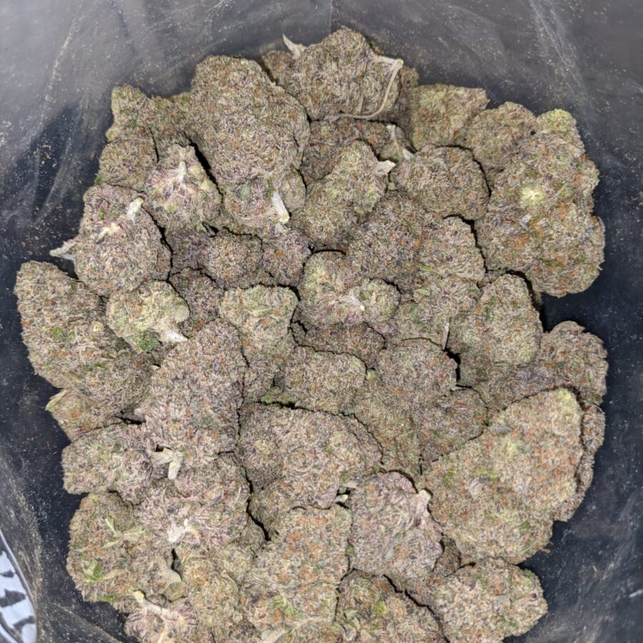 purple lollipop 4 I Purple Lollipop