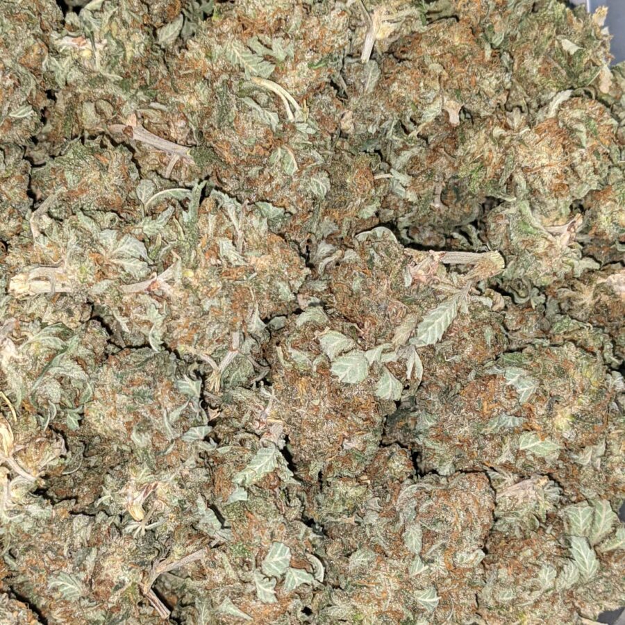 AA INDICA 1 I AA+ Cheapweed Indica