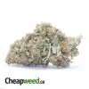 AA+ Cheapweed Indica
