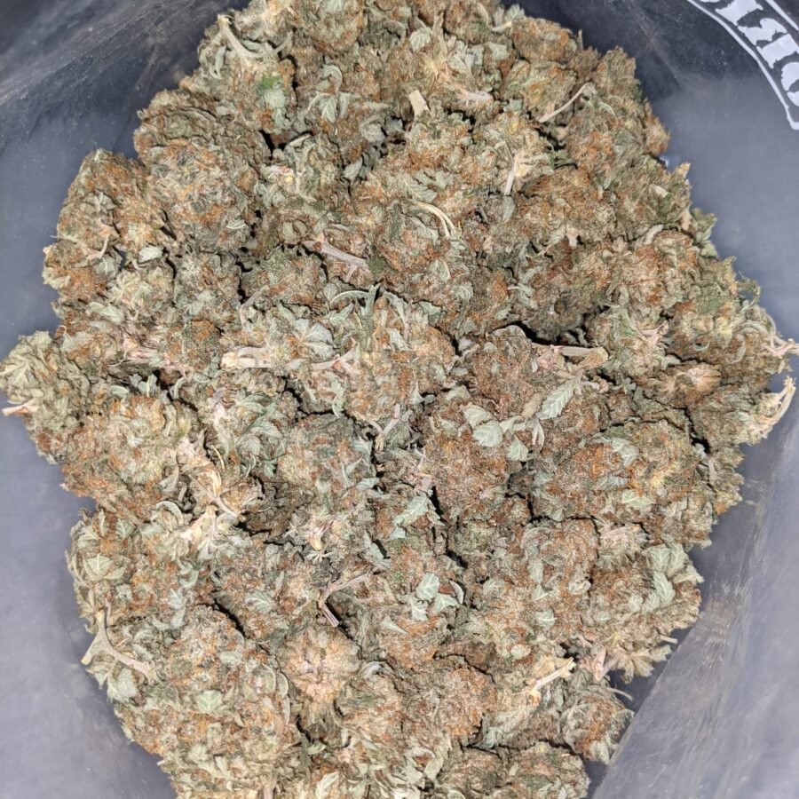 AA INDICA 2 I AA+ Cheapweed Indica