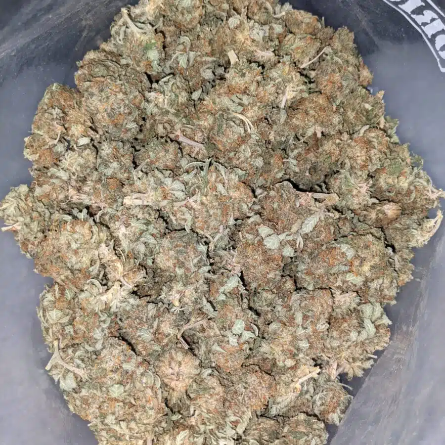 AA INDICA 2 I AA+ Cheapweed Indica