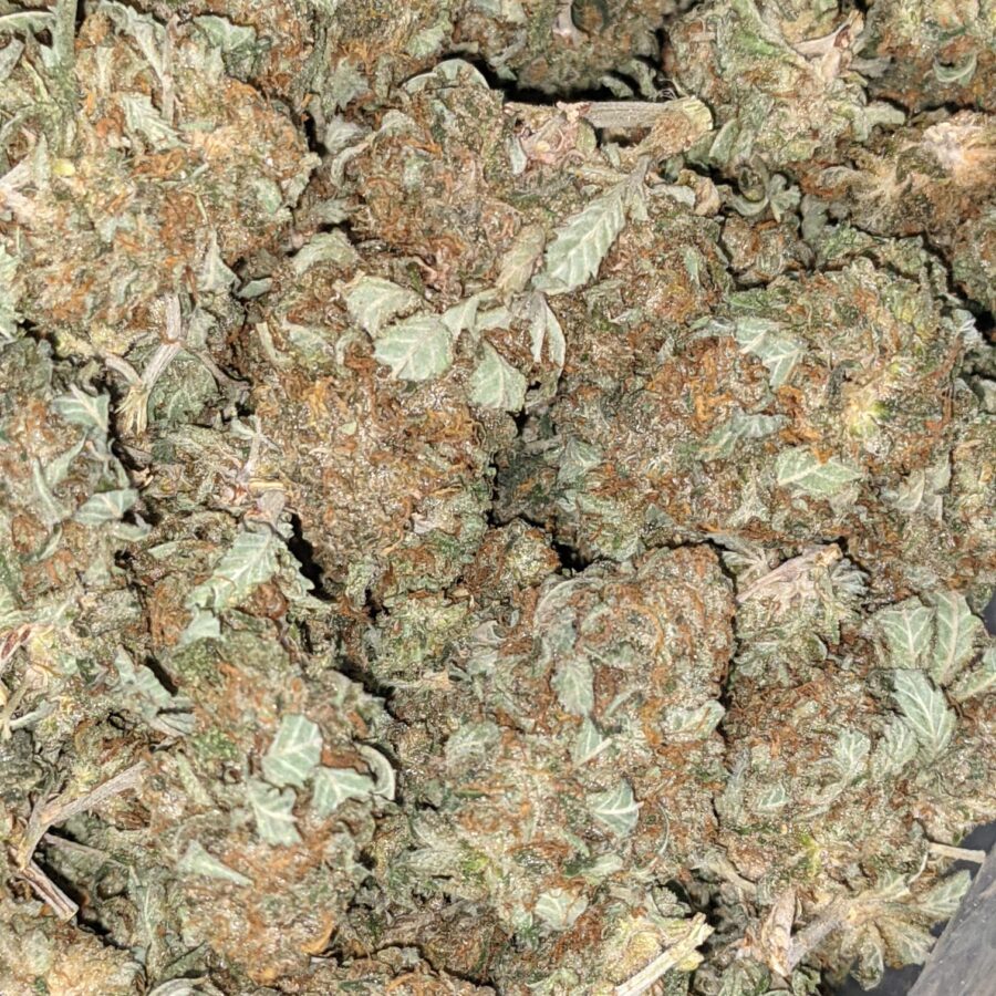 AA INDICA 3 I AA+ Cheapweed Indica