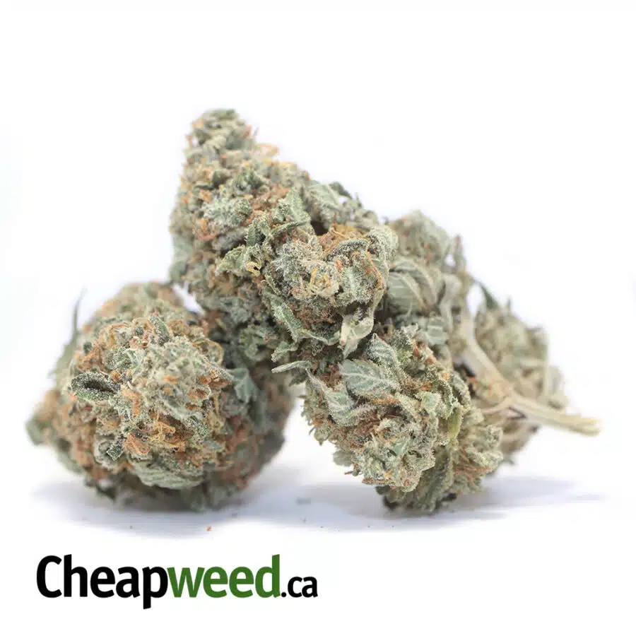AA INDICA 3 I AA+ Cheapweed Indica