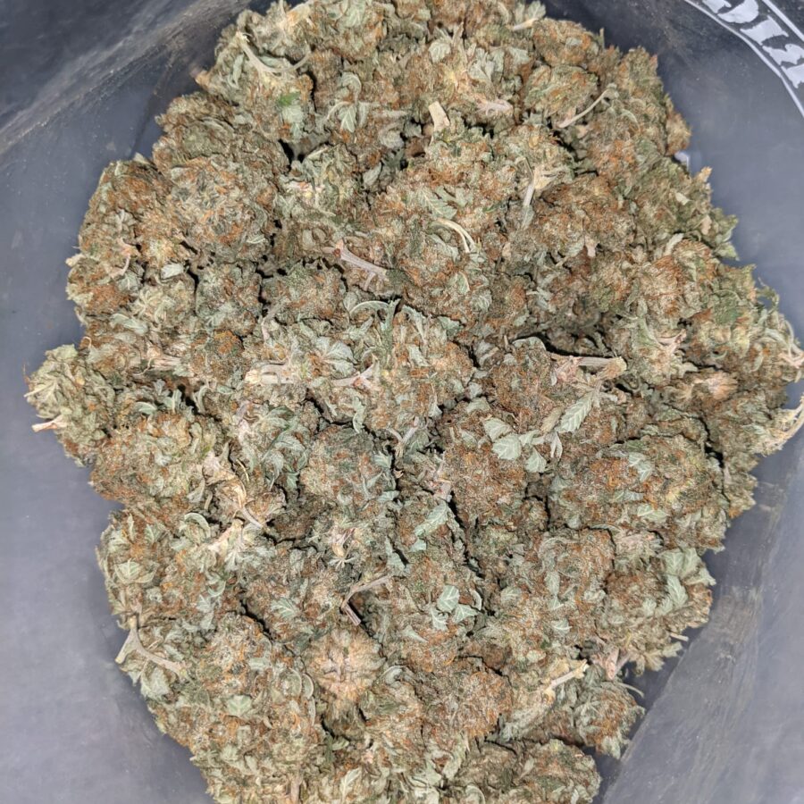 AA INDICA 4 I AA+ Cheapweed Indica