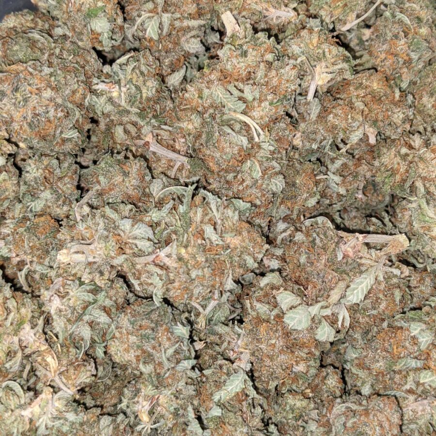 AA INDICA 5 I AA+ Cheapweed Indica