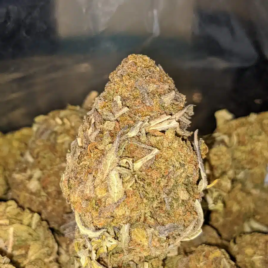 AA SOUR BUBBA 1 I AA Sour Bubba