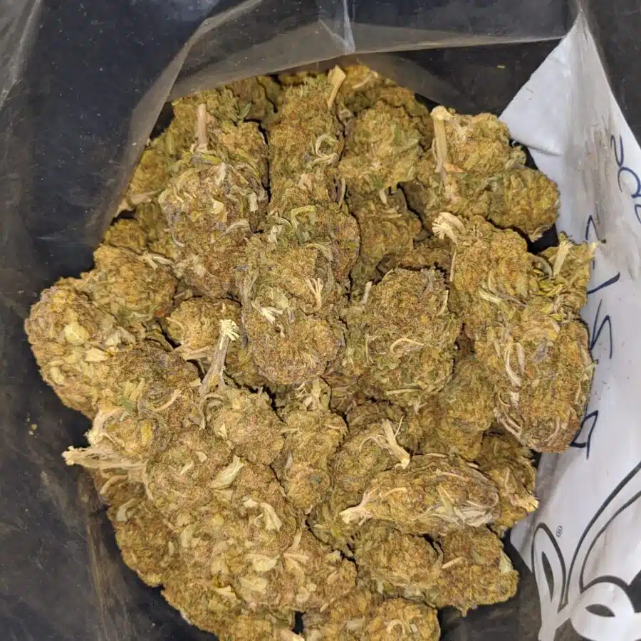 AA SOUR BUBBA 3 I AA Sour Bubba