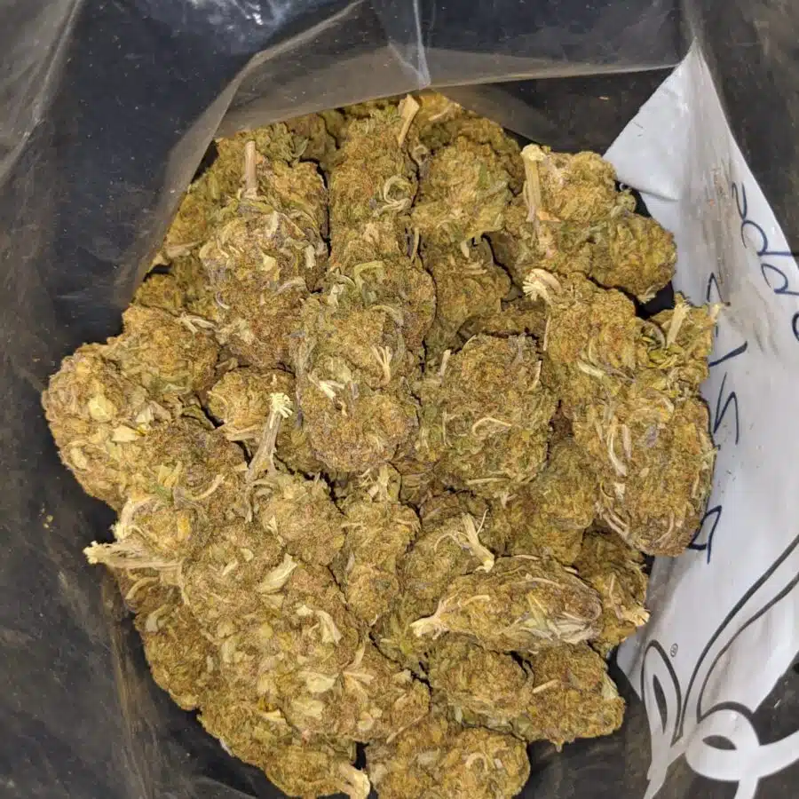 AA SOUR BUBBA 4 I AA Sour Bubba