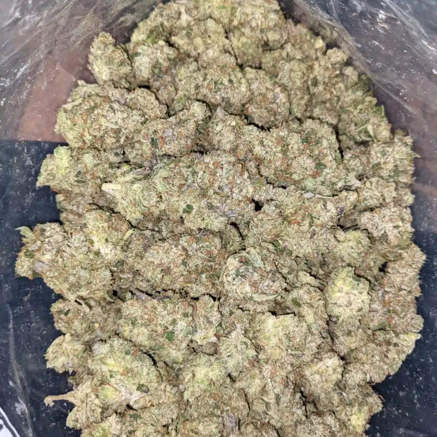 BLUE GOO 2 I Blue Goo - *Deal of the Day*
