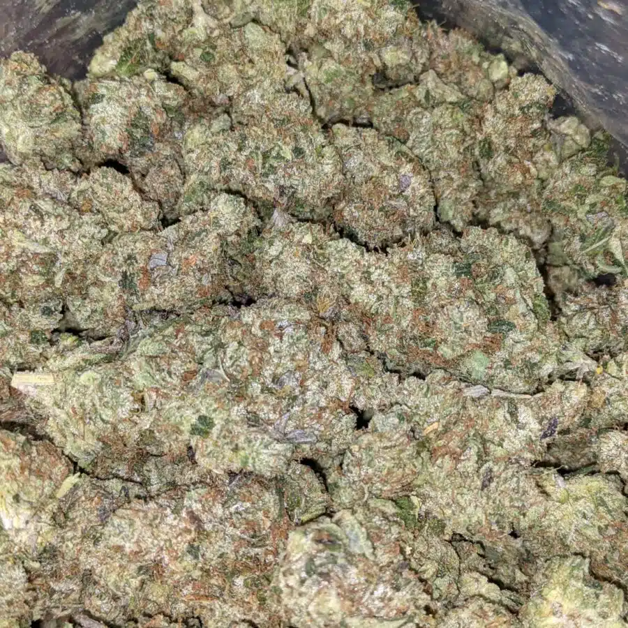 BLUE GOO 3 I Blue Goo - *Deal of the Day*