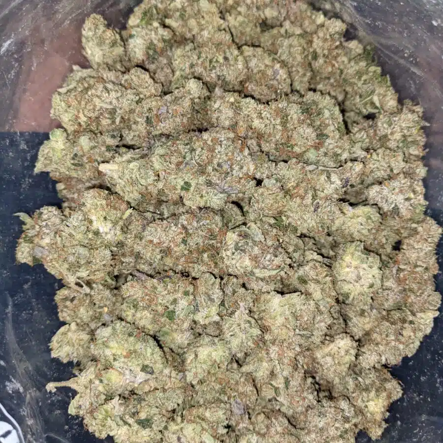 BLUE GOO 4 I Blue Goo - *Deal of the Day*