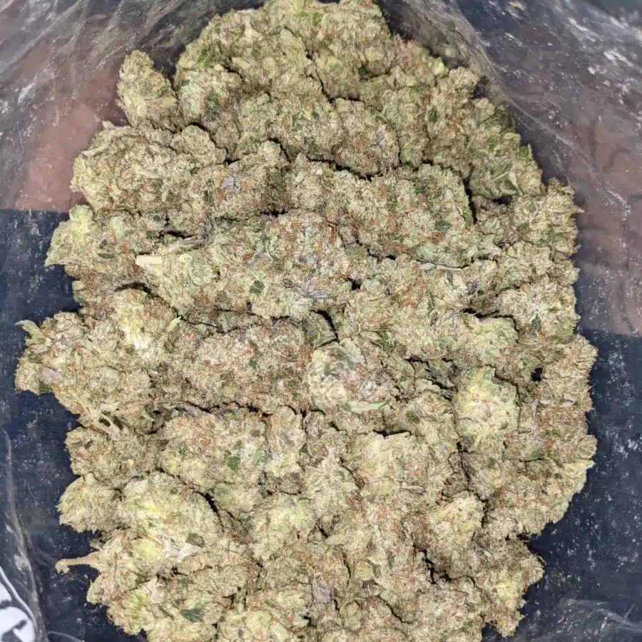 BLUE GOO 6 I Blue Goo - *Deal of the Day*