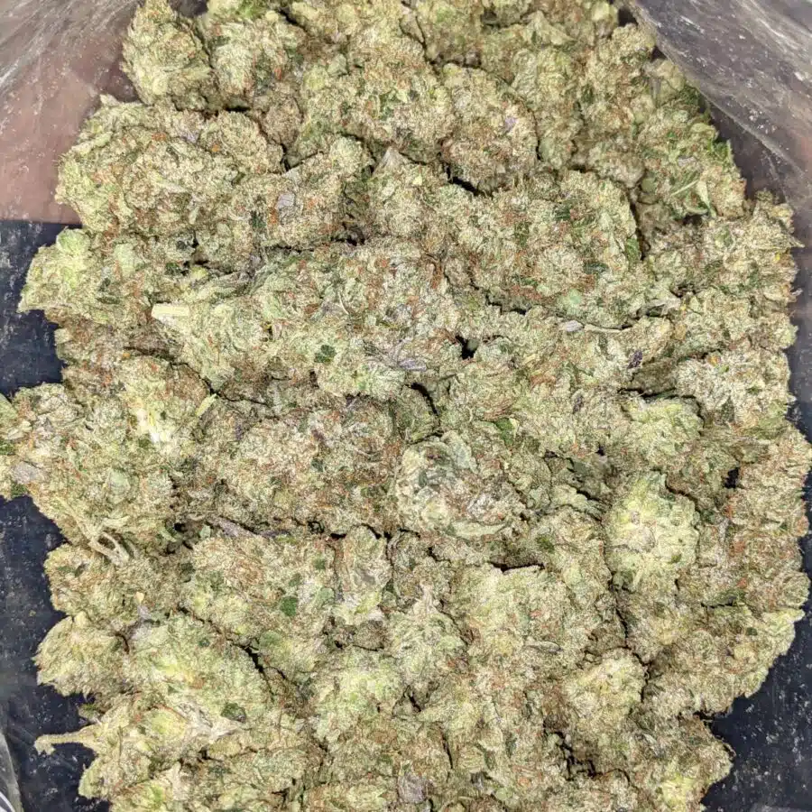 BLUE GOO 7 I Blue Goo - *Deal of the Day*
