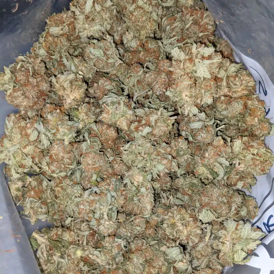 CHEMO AA 2 I Emma's Chemo Bulk Special