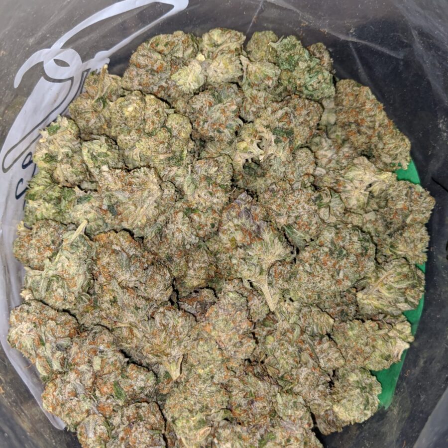 LINDSAY OG DOD 1 1 I Lindsay OG - *Deal Of The Day*