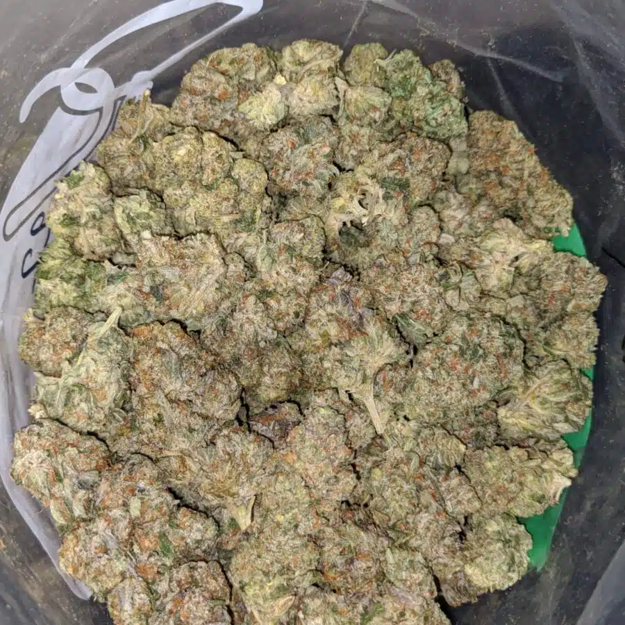 LINDSAY OG DOD 1 1 I Lindsay OG - *Deal Of The Day*