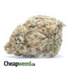 Mango Punch Bulk Special