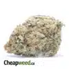 Mango Punch Bulk Special