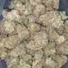 Mango Punch - *Deal Of The Day*