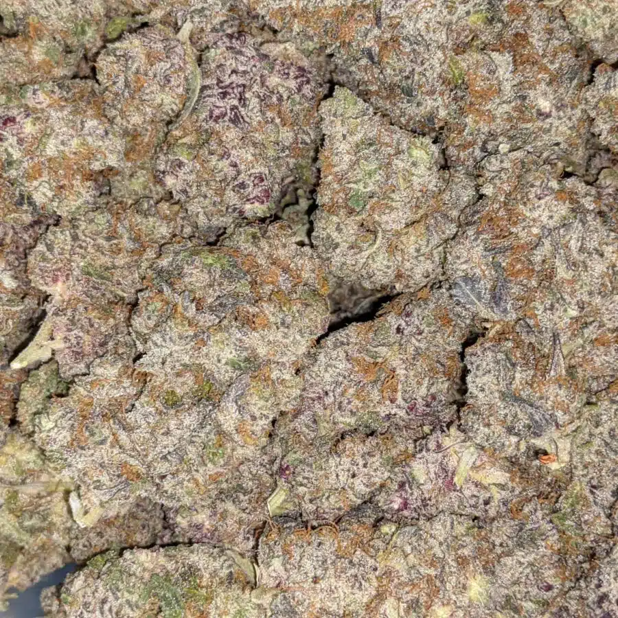 PEANUT BUTTER COOKIE DOUGH 4 I $240 Oz - Peanut Butter Breath