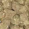 Pineapple Nuken Bulk Special