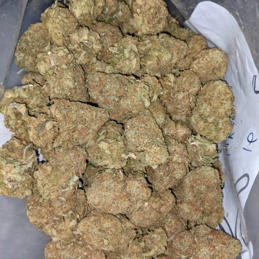 PINEAPPLE NUKEN 3 I Pineapple Nuken Bulk Special