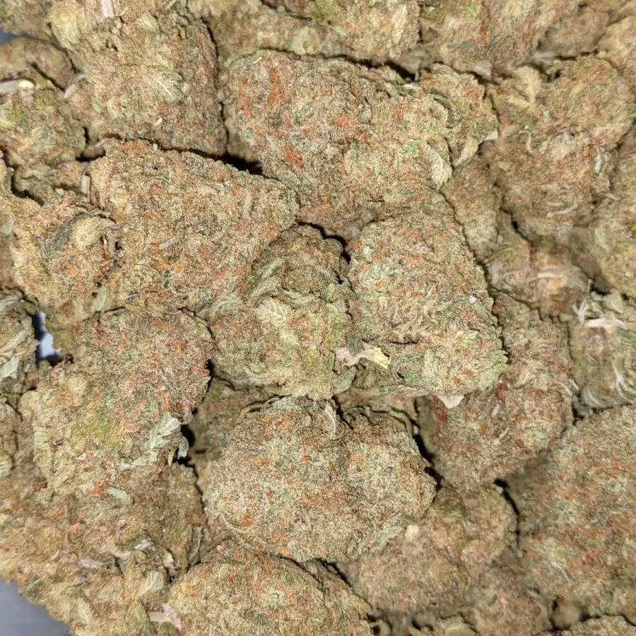 PINEAPPLE NUKEN 4 I Pineapple Nuken Bulk Special