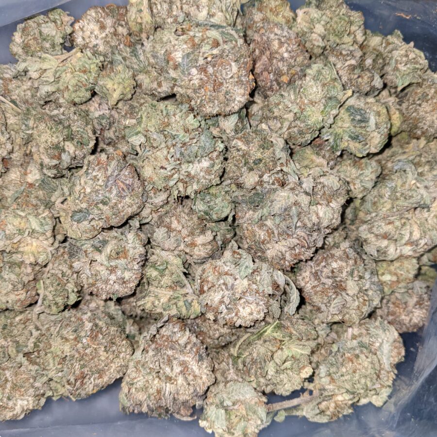 PINK OG 1 I Pink OG AA+ Bulk Special