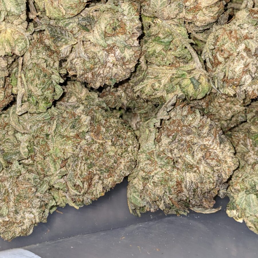 PINK OG 2 I Pink OG AA+ Bulk Special