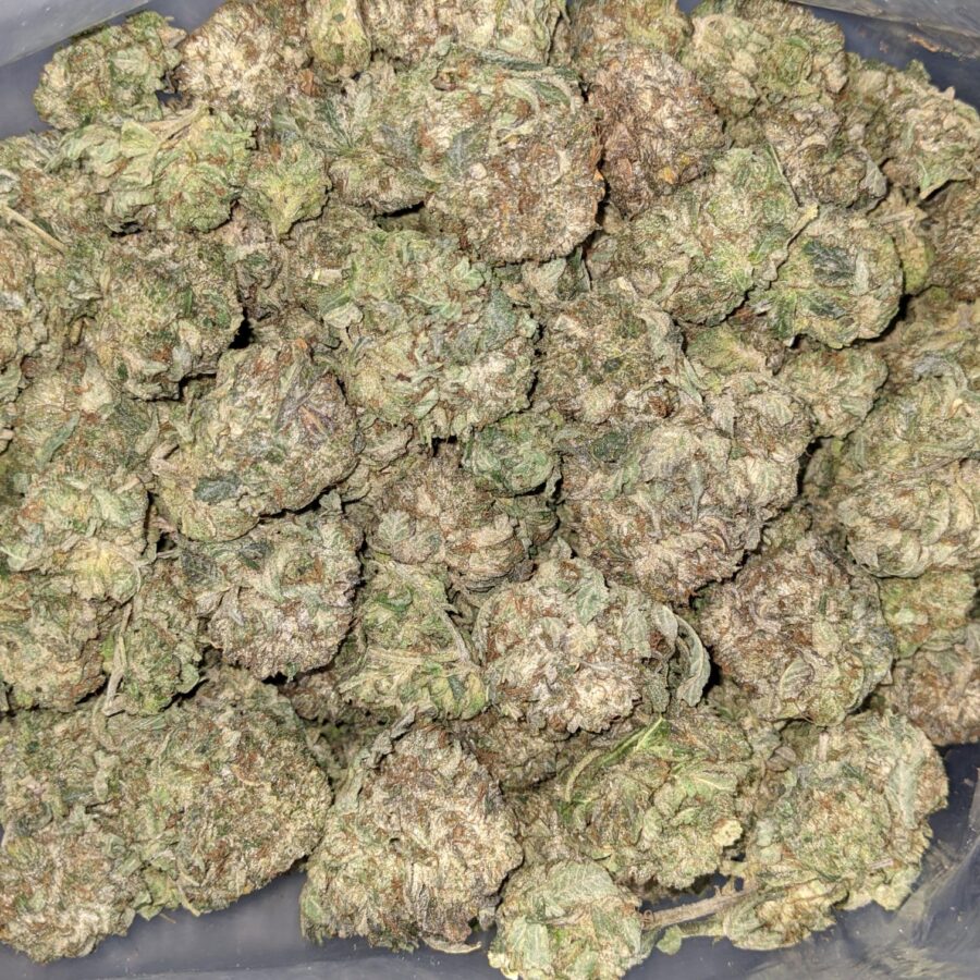 PINK OG 3 I Pink OG AA+ Bulk Special