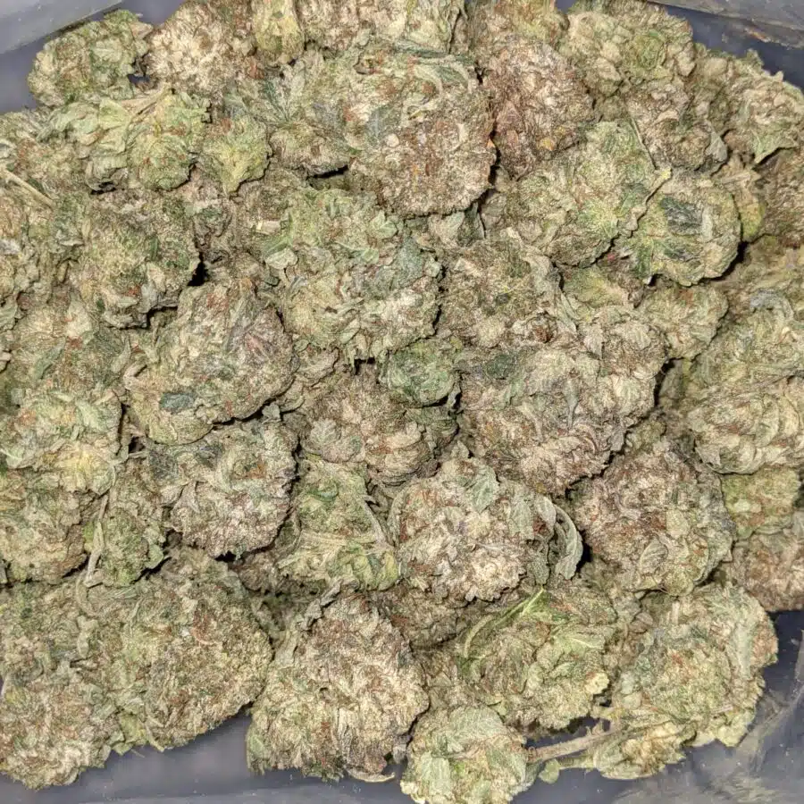 PINK OG 3 I Pink OG AA+ Bulk Special