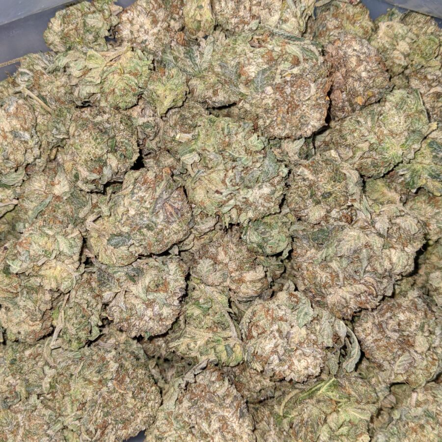 PINK OG 4 I Pink OG AA+ Bulk Special