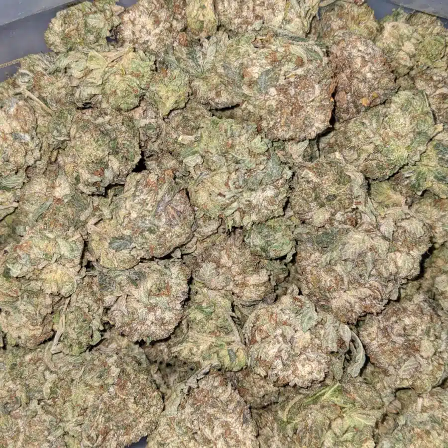PINK OG 4 I Pink OG AA+ Bulk Special