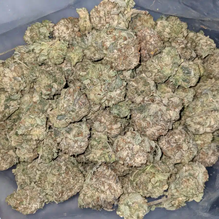 PINK OG 5 I Pink OG AA+ Bulk Special