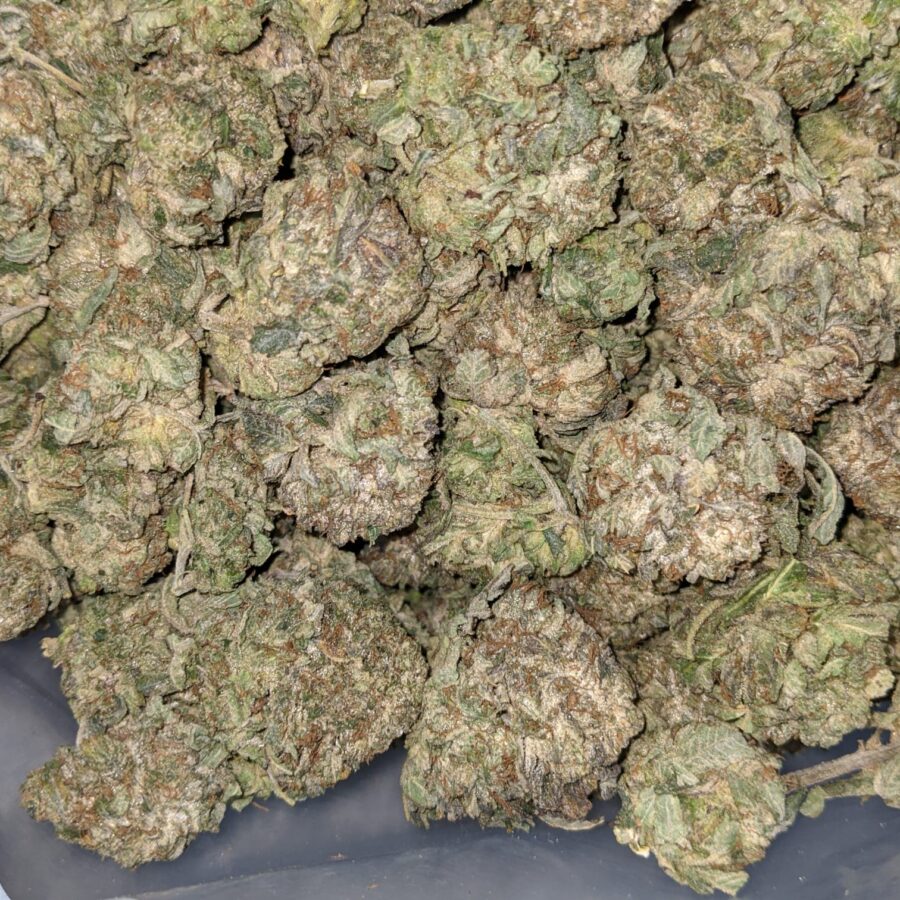 PINK OG 6 I Pink OG AA+ Bulk Special