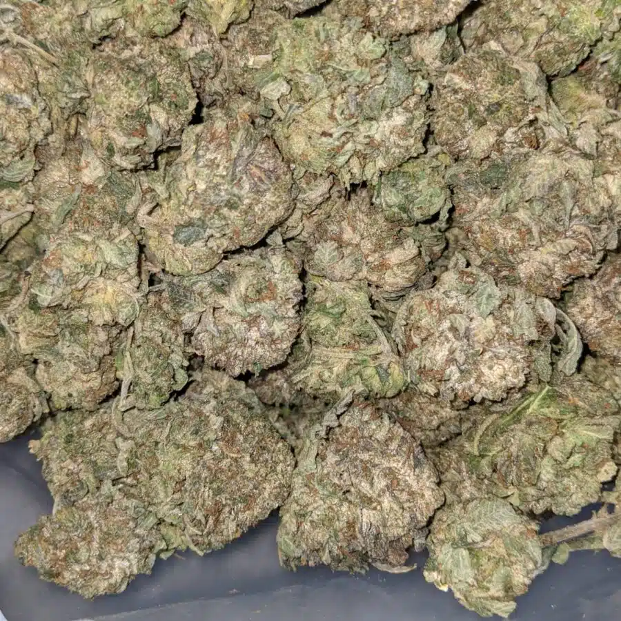 PINK OG 6 I Pink OG AA+ Bulk Special