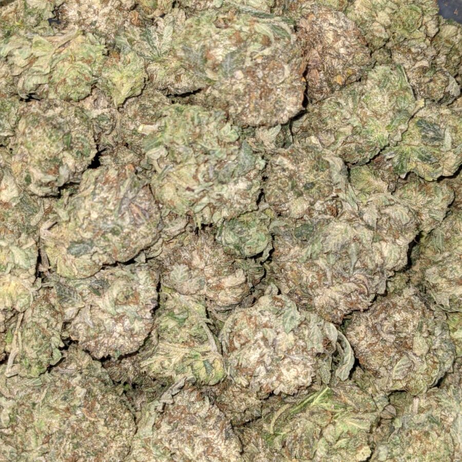 PINK OG 7 I Pink OG AA+ Bulk Special