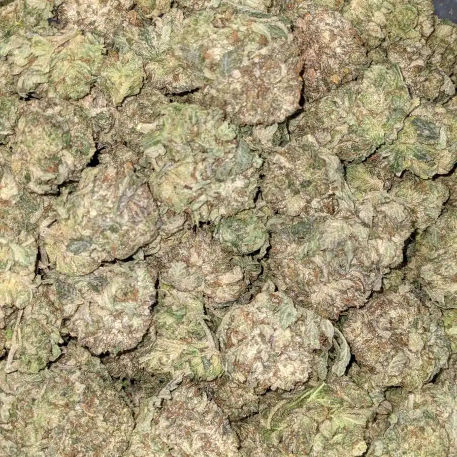 PINK OG 7 I Pink OG AA+ Bulk Special